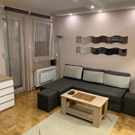 Mila Apartment Novi Sad Bagian luar foto