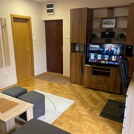 Mila Apartment Novi Sad Bagian luar foto