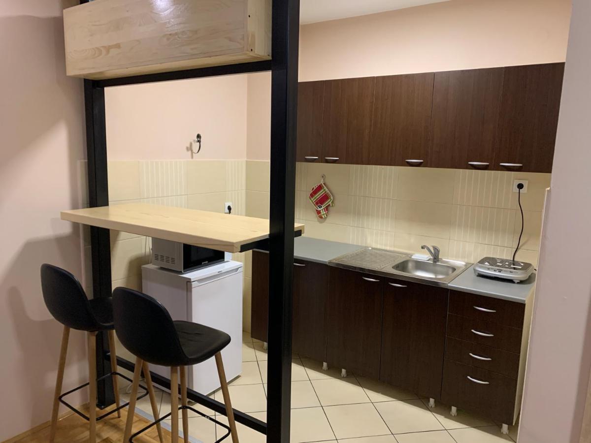 Mila Apartment Novi Sad Bagian luar foto