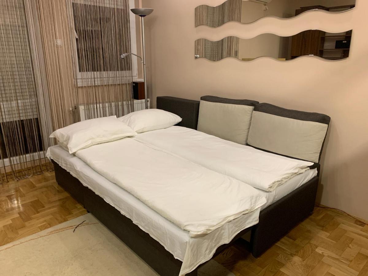 Mila Apartment Novi Sad Bagian luar foto