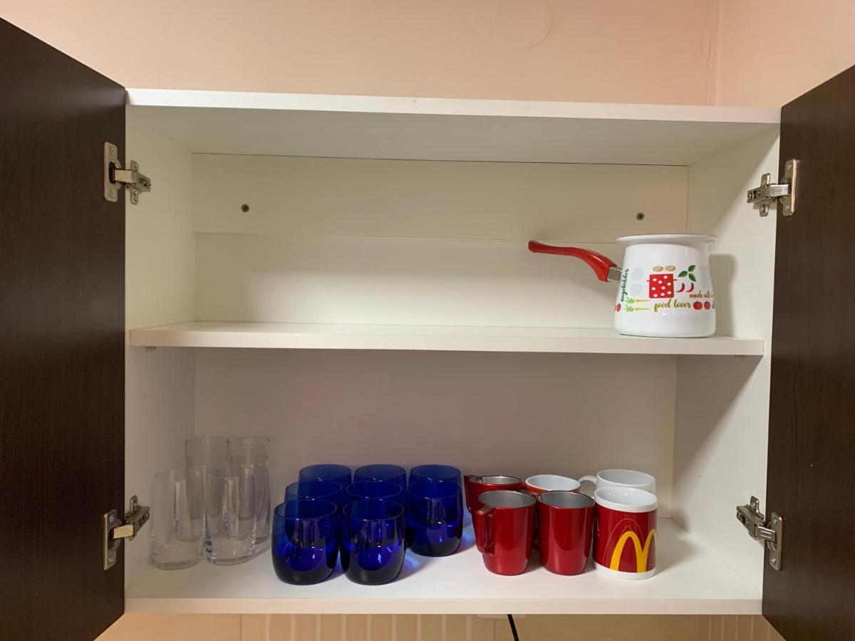 Mila Apartment Novi Sad Bagian luar foto