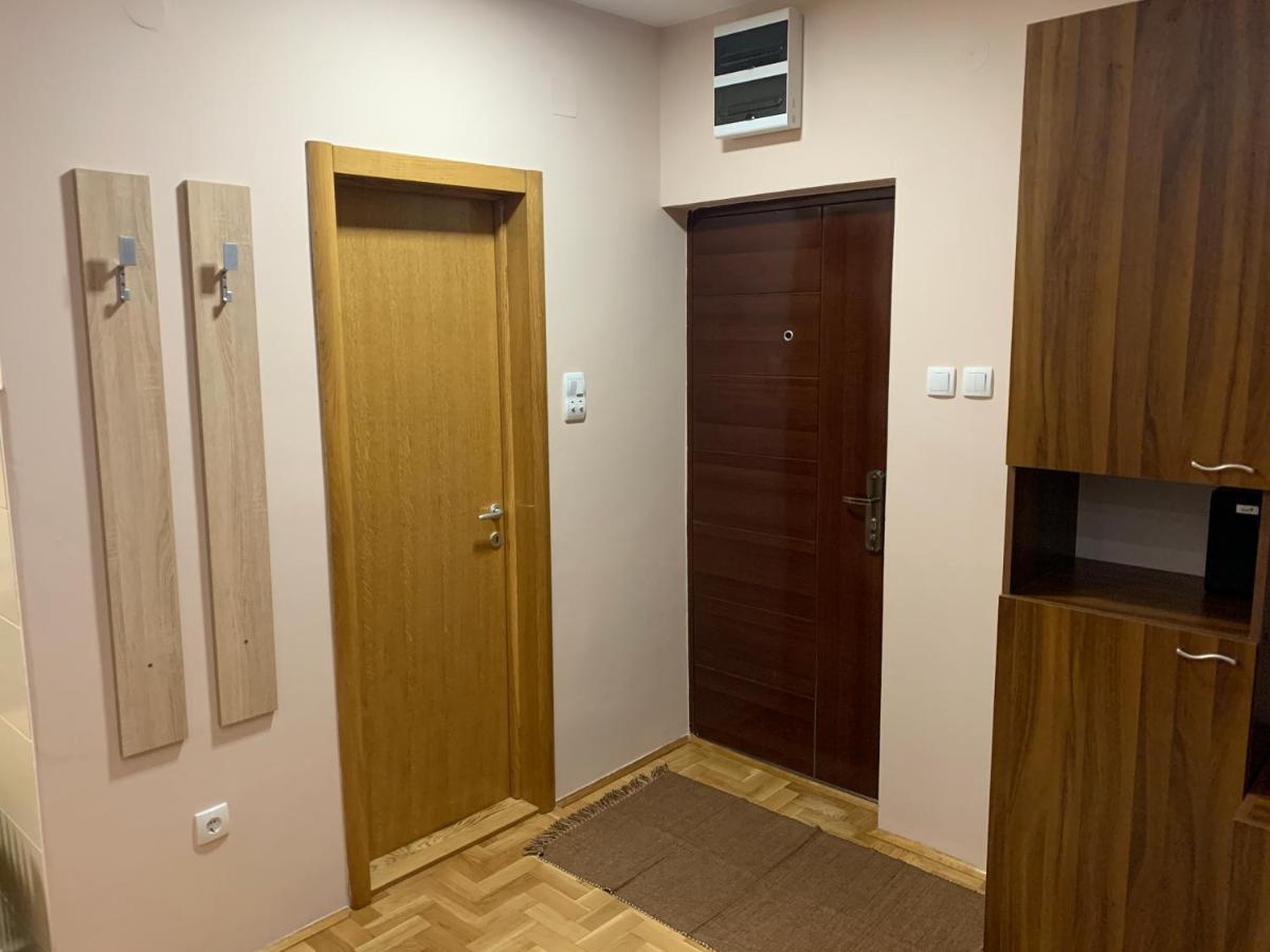 Mila Apartment Novi Sad Bagian luar foto