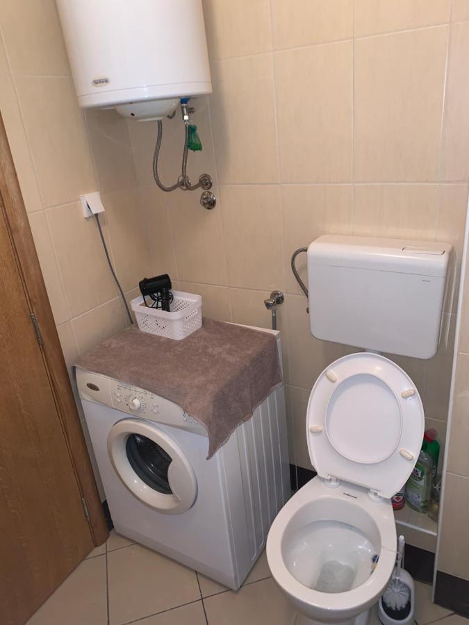 Mila Apartment Novi Sad Bagian luar foto