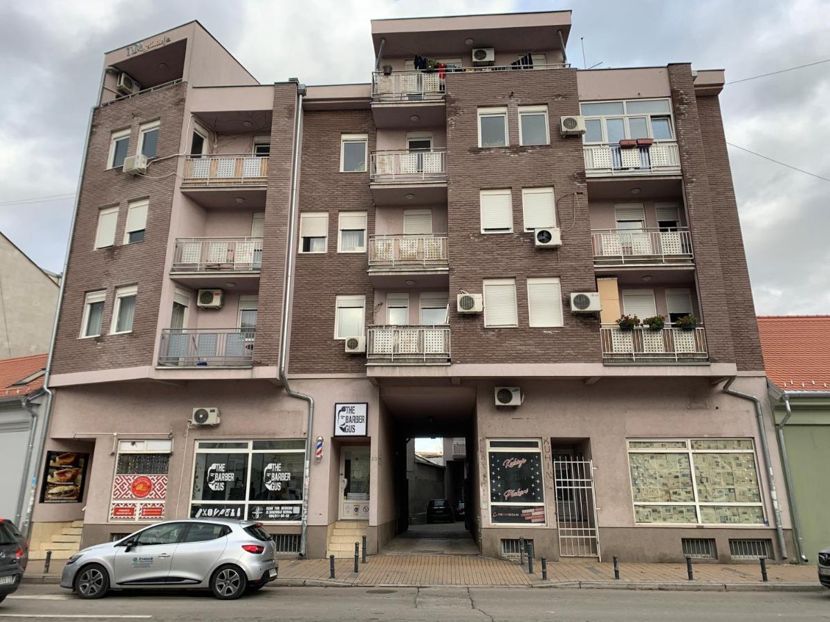Mila Apartment Novi Sad Bagian luar foto