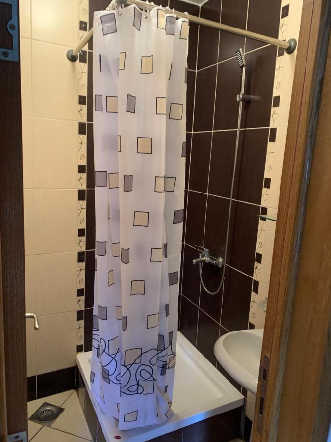 Mila Apartment Novi Sad Bagian luar foto