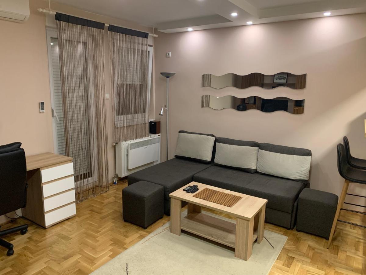 Mila Apartment Novi Sad Bagian luar foto