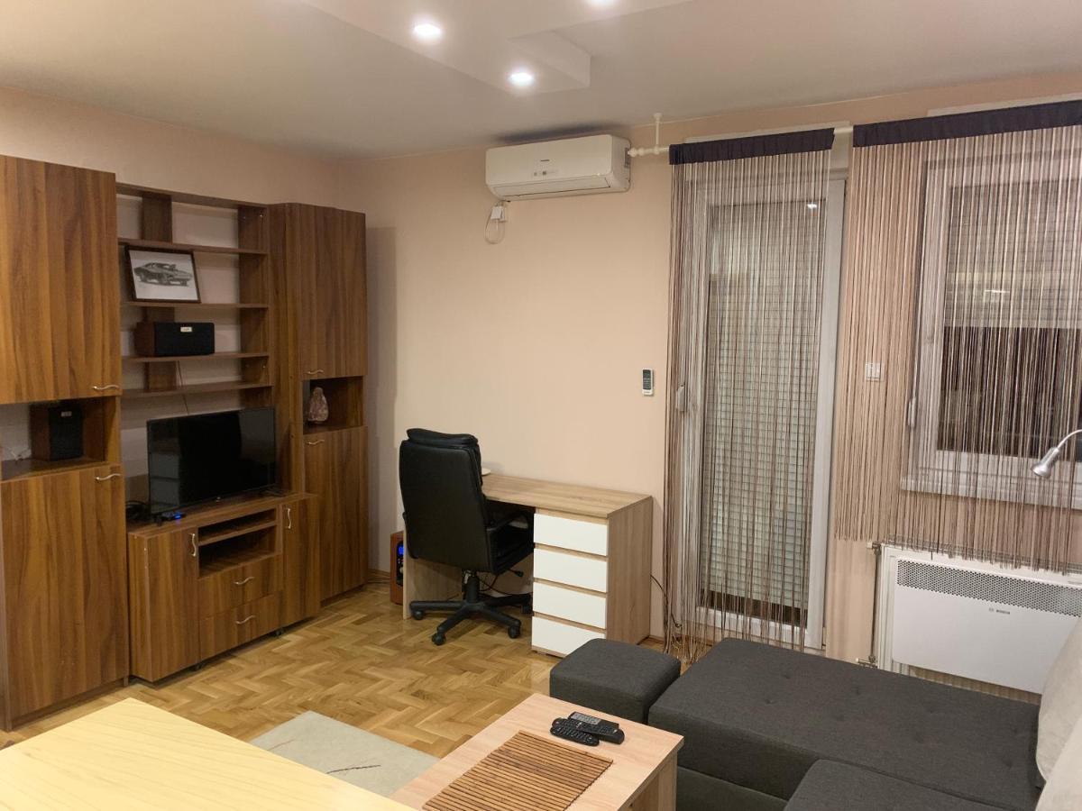Mila Apartment Novi Sad Bagian luar foto