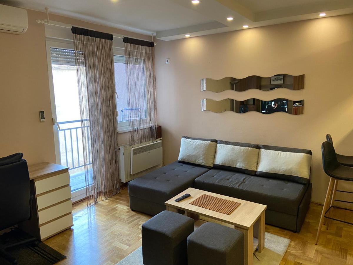 Mila Apartment Novi Sad Bagian luar foto