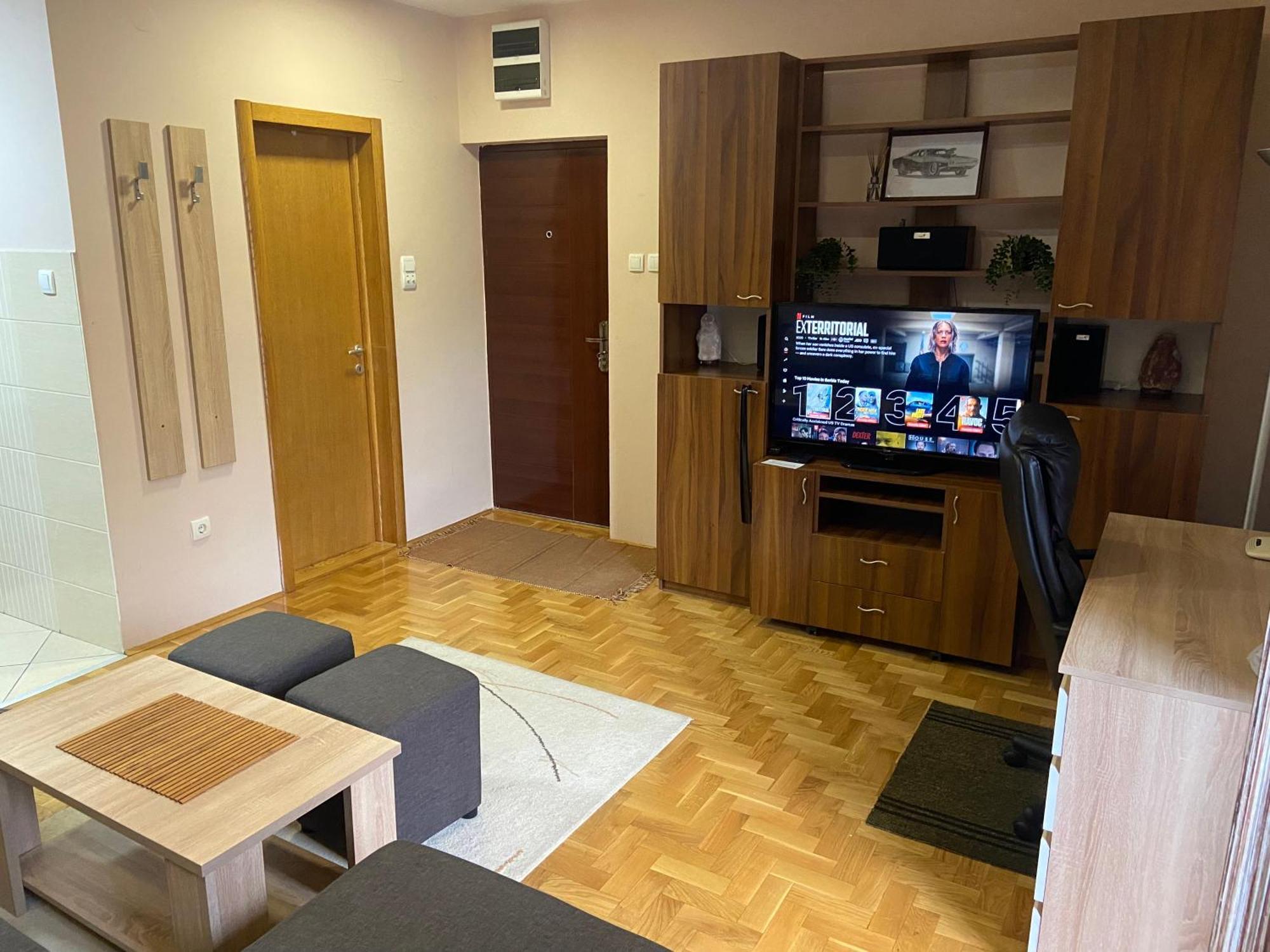 Mila Apartment Novi Sad Bagian luar foto